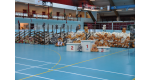 Bamselekene_2014_1.JPG