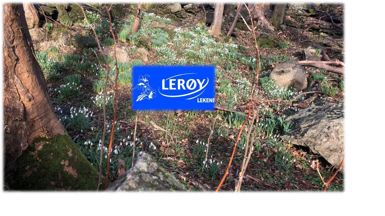 Lerøylekene 2021