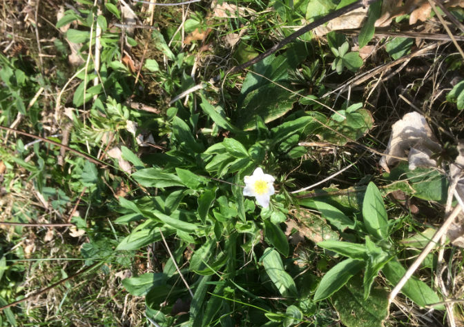 Friidrettssesongen er i gang.