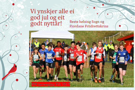 God jul og eit godt nytt år!
