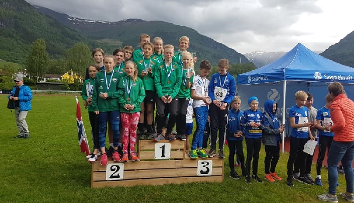 Slik gjekk det i Vik