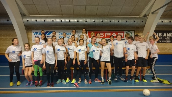 LERØYsamling i Danmark