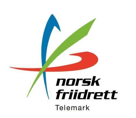 Til minne om Olav Dale, Seljord