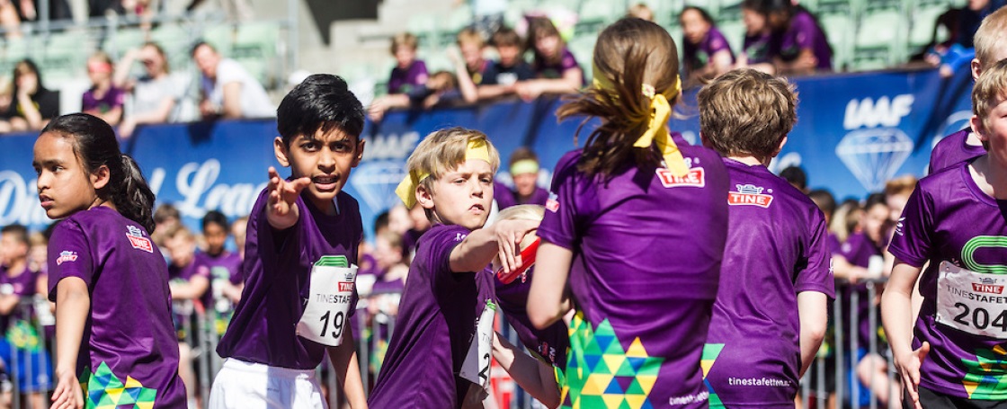 Vestfoldfinalen-Tine