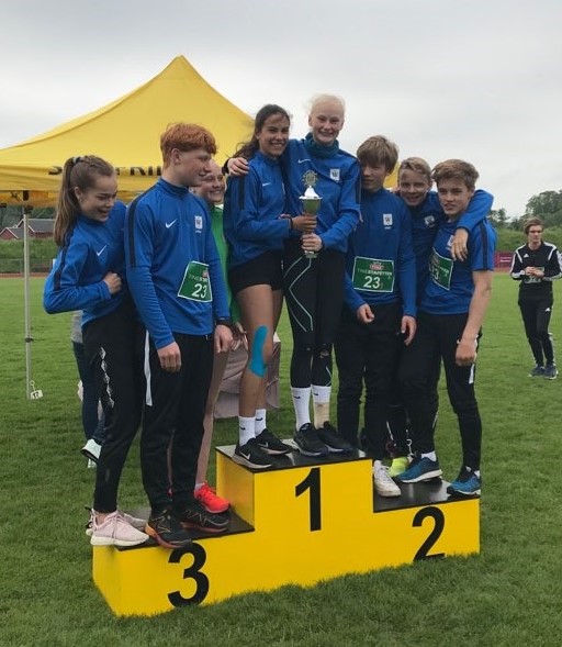 Vestfoldfinalen i Tinestafetten